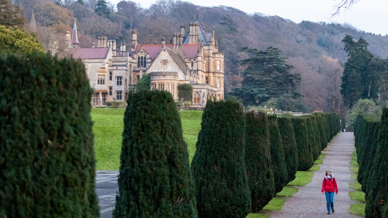 Visitor on the Yew Walk at Tyntesfield, Somerset